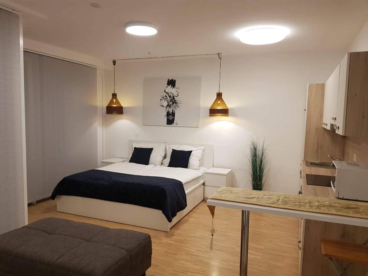 Central Lg Studio Free Parking Graz Eksteriør billede
